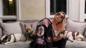 Lady Gaga ofrece recompensa de 500,000 dólares para recuperar a sus perros luego de ser robados