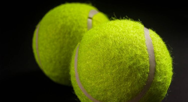 ¿Por qué colocar una pelota de tenis en el jardín? Este es el misterio que esconde