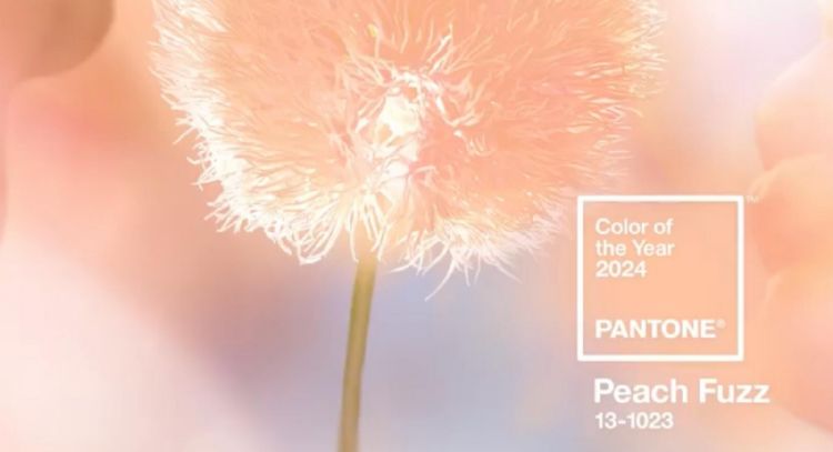 'Peach fuzz': Conoce el color que Pantone ha elegido para representar al 2024