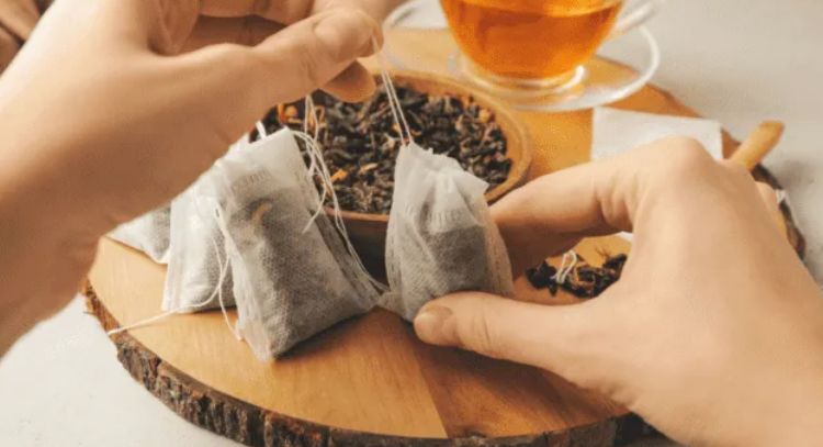 Reutiliza las bolsas de té en tu jardín; descubre los beneficios para tus plantas