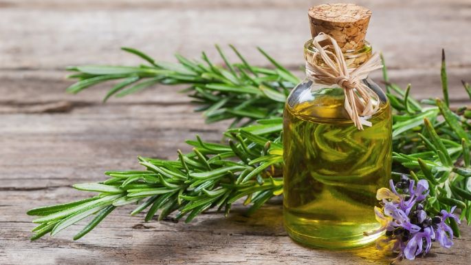 Prepara el aceite de romero que te ayudará a prevenir la caída del cabello en tan solo unos días