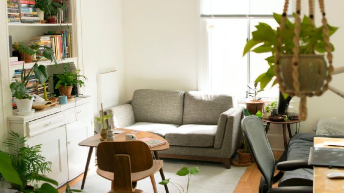 Feng Shui: Conoce qué es y cómo aplicarlo en tu hogar para elevar tu energía