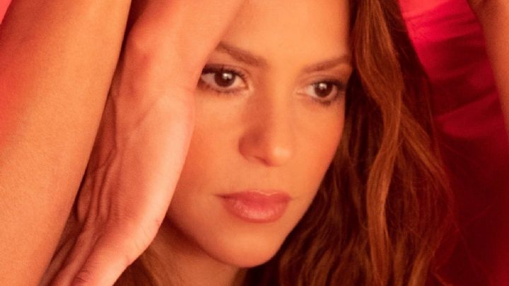 Shakira es un verdadero orgullo latino; al convertirse en una de las artistas más buscadas