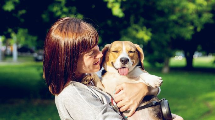 Con estos sencillos consejos puedes proteger a tus mascotas de la pirotecnia