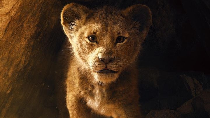 ¡Impresionante! Este es el póster oficial del 'live action' de Disney 'El Rey León 2'