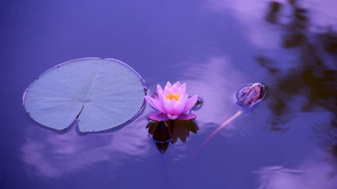 Guía básica para comenzar a meditar cada mañana y cambiar la energía de tu día a día