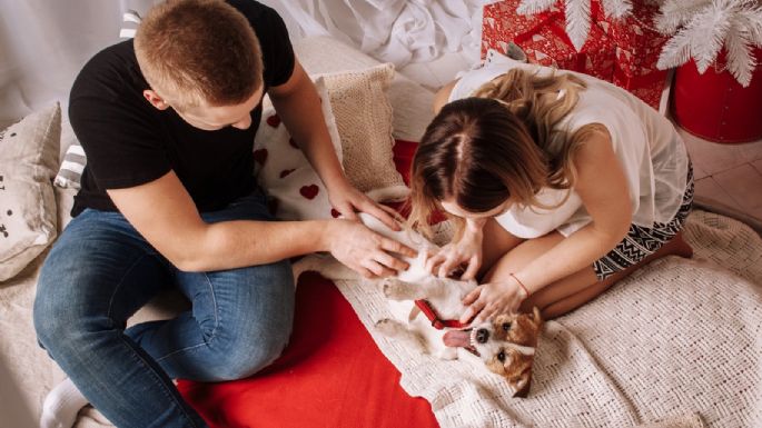 ¡No lo corras de la cama! Descubre algunas razones de por qué es bueno dormir con tu perro