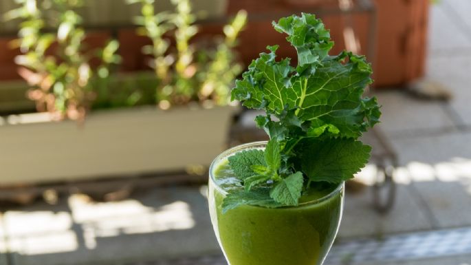 ¡Tan efectivo que no lo creerás! Olvídate de los dolores post entrenamiento con este práctico jugo verde