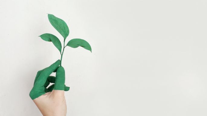 ¿Eres fiel seguidora de la moda sustentable? Entérate sobre qué es el 'greenwashing'