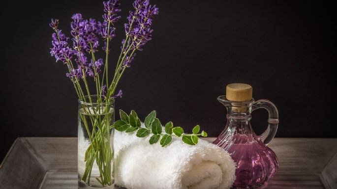 La magia de la lavanda: Descubre los grandes beneficios que tiene esta planta medicinal