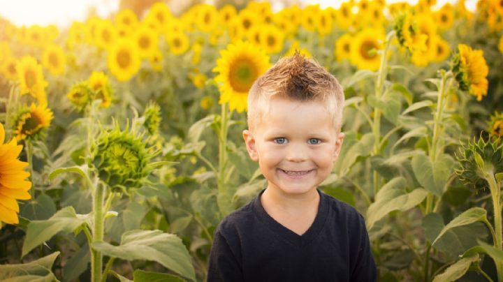 ¡Sorprendente! Conoce cuáles son los beneficios de dejar que tus hijos jueguen con muñecas