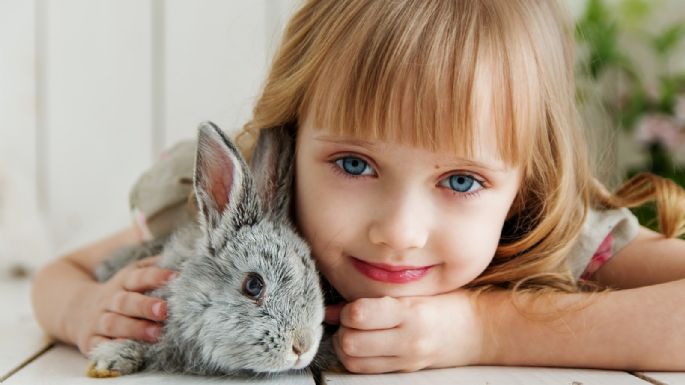 ¿Tu hijo quiere una mascota? Descubre cuál de estas opciones podría ser su compañero ideal