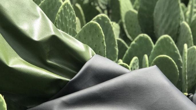 Jóvenes mexicanos crean cuero orgánico proveniente del nopal para elaboración de prendas y artículos