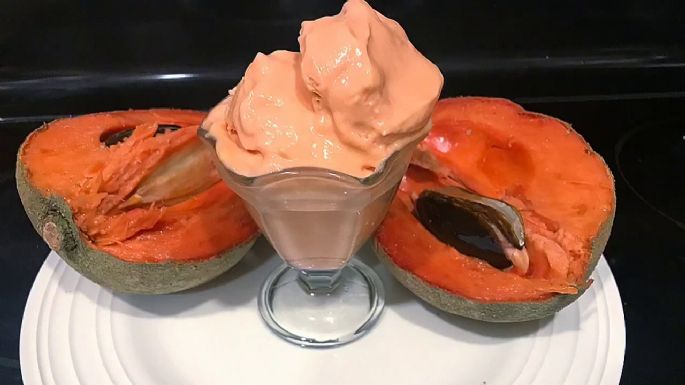 ¡Tan rico que no podrás creerlo! Este cremoso helado de mamey se convertirá en tu delirio