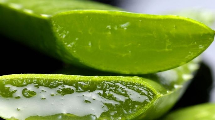 No es solo para el cuidado de la piel: Descubrr los usos esotéricos del aloe vera