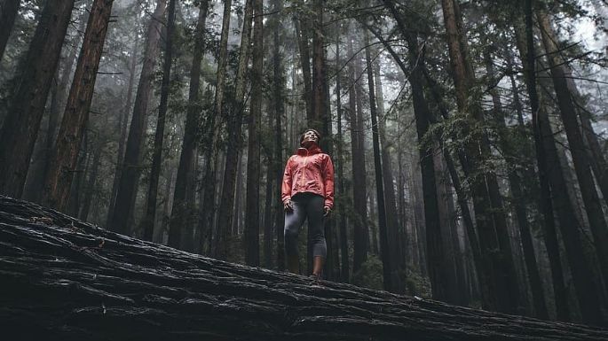 ¿Tienes ansiedad? Conoce lo que es el baño de bosque y por qué puede ayudarte