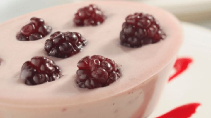 Sencilla y deliciosa: Aprende a preparar esta gelatina de zarzamora