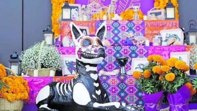 Así es la forma en la que debe ser el altar de muertos para tus mascotas