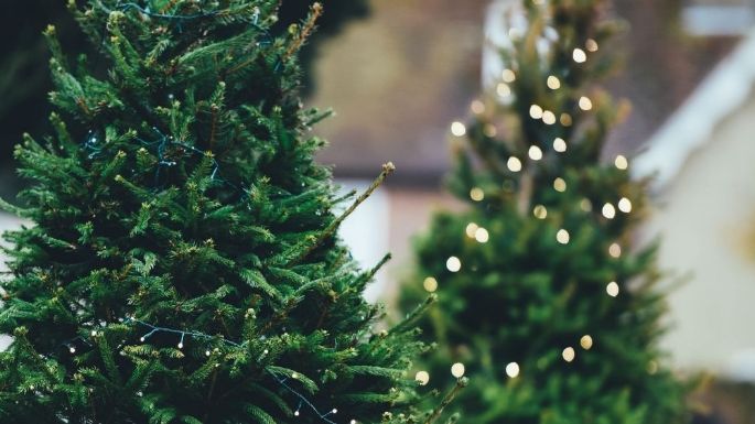 ¿Ya pusiste el árbol de Navidad? Estas son las claves para prevenir accidentes en casa