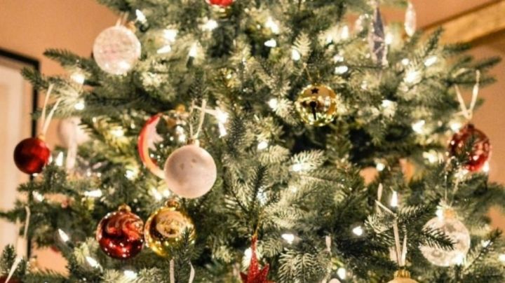 3 ideas para reutilizar tu árbol de Navidad natural después de las fiestas