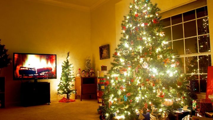 ¿Artificial o Natural? Despeja las dudas y descubre que árbol es mejor para Navidad
