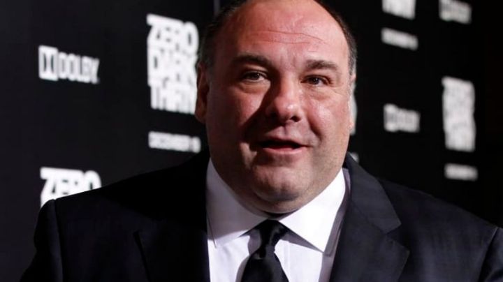 James Gandolfini: Descubre de qué murió el icónico actor de 'Los Soprano'