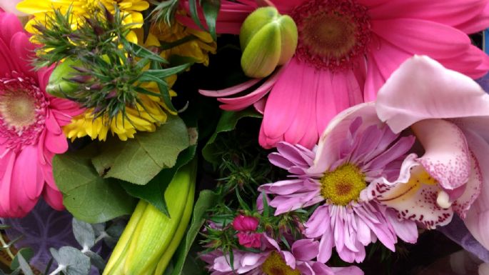 ¡Ten cuidado! Estas flores podrían verse lindas, pero ser muy toxicas para ti