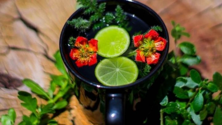 Una bebida muy refrescante: Prepara este ponche frío de té limón