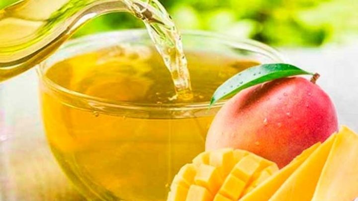 Té de hojas de mango; descubre todos los beneficios de esta bebida