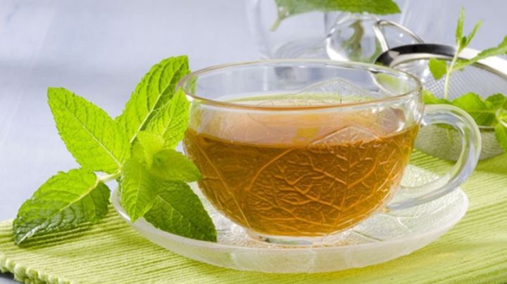 Té de poleo con menta: Conoce todos los beneficios saludables de esta infusión 