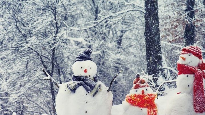 Sobrevive al invierno con estos 4 sencillos, peor muy útiles consejos