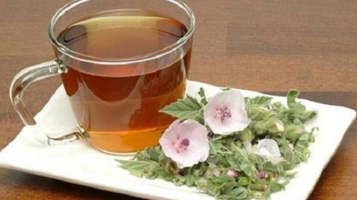 Conoce los beneficios del té de raíz de malvavisco y cómo debes prepararlo