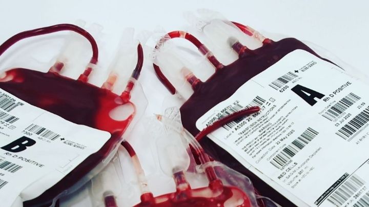 ¿Donar sangre mientras amamantas? Descubre si es posible hacerlo