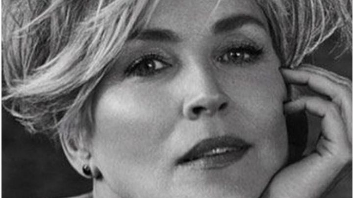 De 'Basic Instinct' a la serie 'Ratched': Conoce más de la carrera artística de Sharon Stone