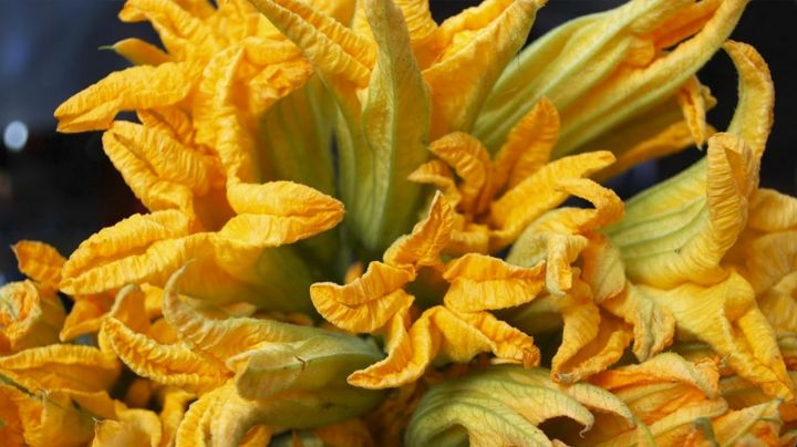 Flor de calabaza: Conoce la historia y beneficios de este ingrediente esencial en la cocina mexicana