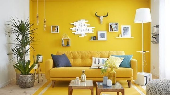 Dale personalidad a tu hogar: Descubre cómo puedes decorar una sola pared de tu casa