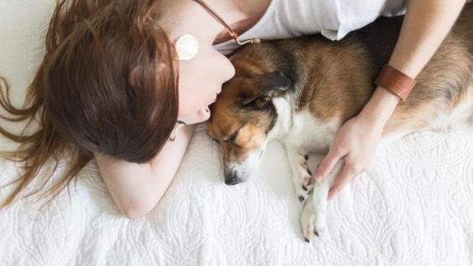 Los efectos de dormir con tu perro: Descubre si es mejor acompañante que tu pareja durante el sueño