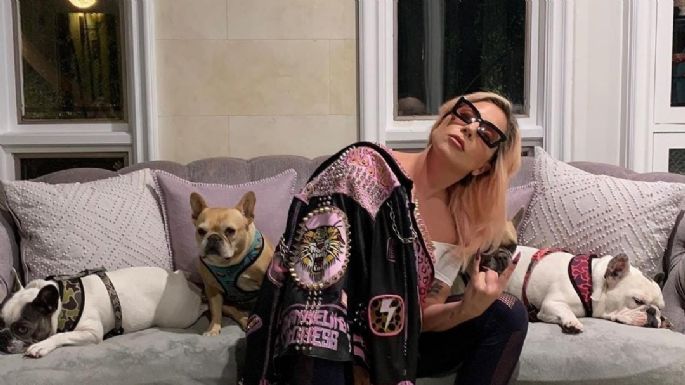 Lady Gaga recupera a Koji y Gustav, sus perros que fueron robados en Hollywood