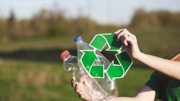 Lleva un estilo de vida sustentable: Estos son los pasos que te podrían ayudar a iniciar