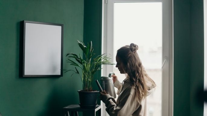 ¿Te gustan las plantas? Aquí hay cinco especies que te ayudarán con el estrés y la productividad