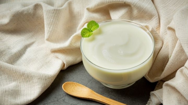 Yogur: Un alimento que debe estar presente en tu dieta; estos son algunos de sus beneficios