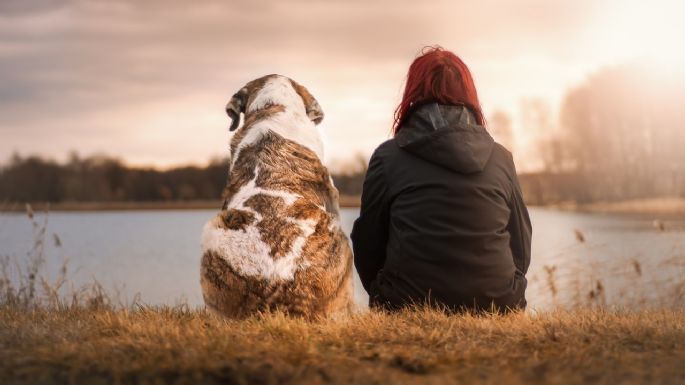 ¡Es cierto! Los perros tienen un favorito en la familia; descubre cómo y por qué lo eligen