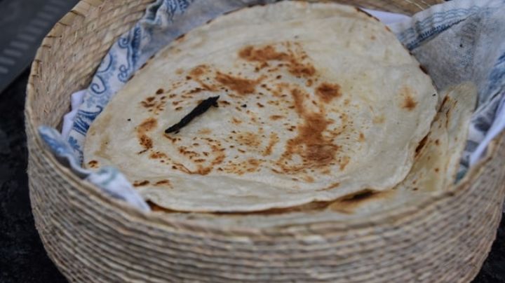 ¿Cuántas calorías tiene una tortilla? Propiedades de uno de los alimentos de mayor consumo en México