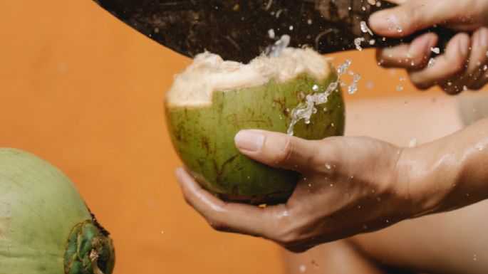 El agua de coco se convertiría en un remedio contra el dengue