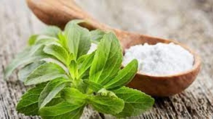 Dulce planta medicinal: Descubre algunas propiedades y beneficios de la estevia