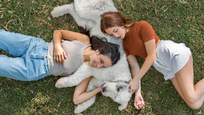 Llegó la hora de partir: Estas son las cosas que hace tu mascota antes de morir