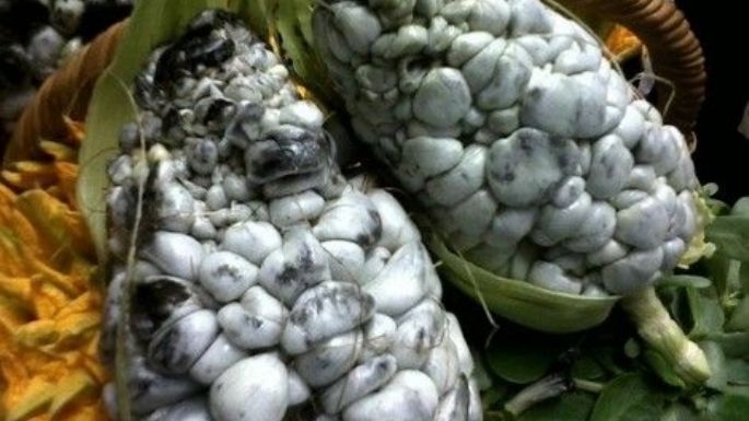 Dos manjares juntos: Aprende a hacer un aguacate relleno de huitlacoche