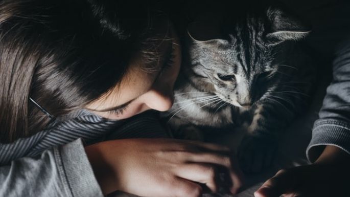 Amor felino: Conoce el significado de que tu gato quiera acurrucarse junto a ti