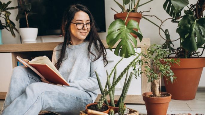 ¡Protege a tus pequeñas! Este remedio prevendrá la aparición de hongos en tus plantas