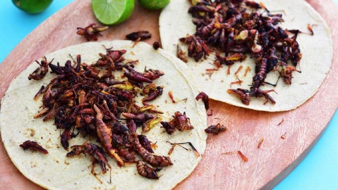 Todo lo que corre o vuela a la cazuela: Los insectos, un platillo exótico y nutritivo en México